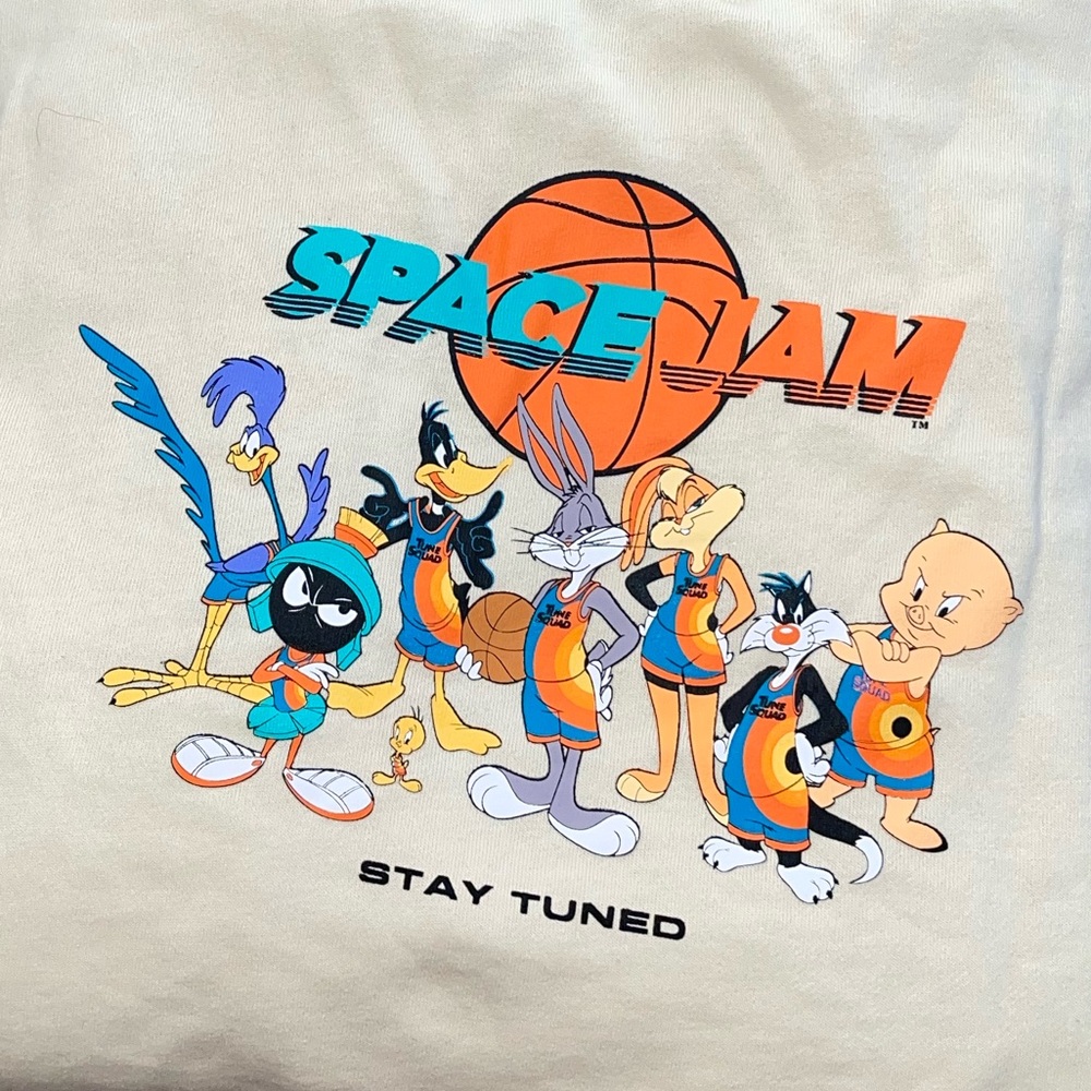 Looney tunes space jam hoodie